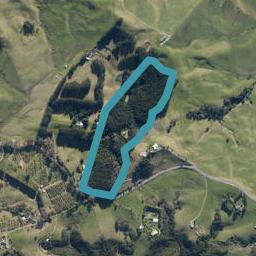 325 Glenmohr Road, Waipu, Waipu