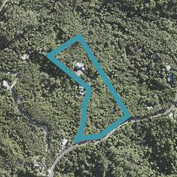 328 Wright Road, Albany