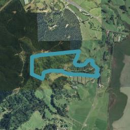 1031 State Highway 2, Tanners Point, Katikati