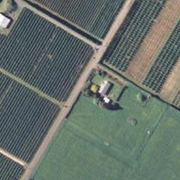 92 Palmer Road, Brightwater