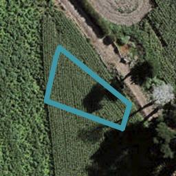 3 Uatoto Road, Clarks Beach, Clarks Beach