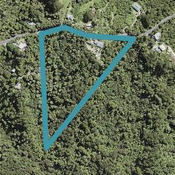 230 Forest Hill Road, Waiatarua, Auckland