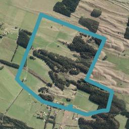344 Brandon Hall Road, Bulls