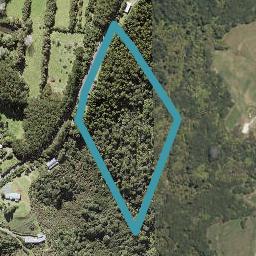 329 Taiapa Road, Waimauku
