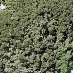 0 North Cove, Kawau Island, Kawau Island