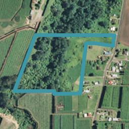 266 Manoeka Road, Te Puke, Te Puke