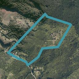 629 Honeymoon Valley Road, Peria, Kaitaia