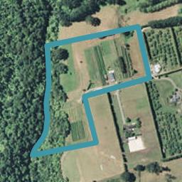 9E Mcquade Road, Whakamarama, Whakamārama