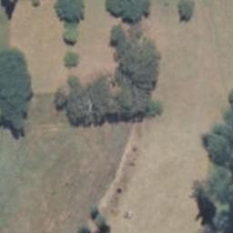 31 Strawberry Place, Geraldine, Geraldine