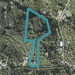 254 Wright Road, Albany