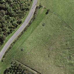 79 Waiheke Road, Waiheke Island, Waiheke Island