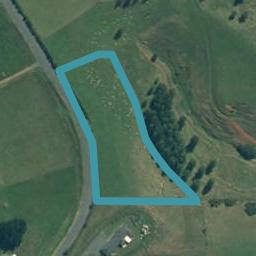 310 Dominion Road, Tuakau, Tuakau