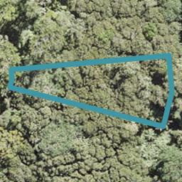 17 Waikarekare Lane, Karekare, Auckland