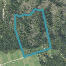 491 Wangapeka Road, Little Wanganui, Karamea