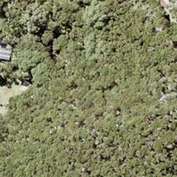 0 Vivian Bay, Kawau Island, Kawau Island