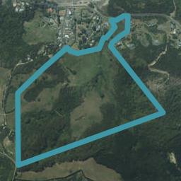 1025 Purangi Road, Cooks Beach, Whitianga