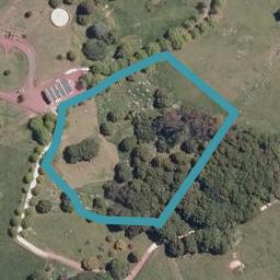 59 Plane Tree Lane Lane, RUATANGATA WEST