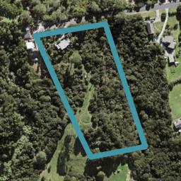 133 Elmore Road, Albany