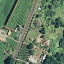 253 No 1 Road, Te Puke, Te Puke