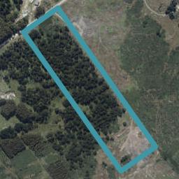 220 Cowan Road, Pine Hill, Dunedin