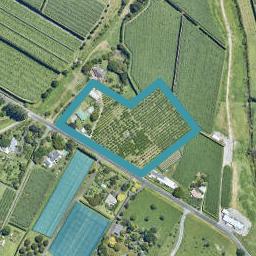 132 Armstrong Road, Te Puna, Tauranga