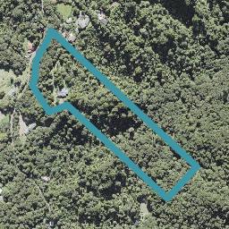 106 Opanuku Road, Henderson Valley, Auckland