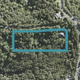 248 Wright Road, Albany