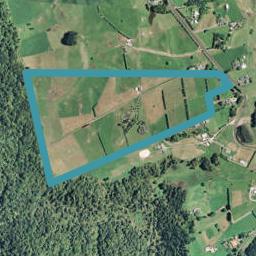 61 Glue Pot Road, Oropi, Tauranga