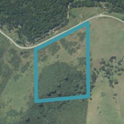 221 Te Punga Road, Whangapoua, Coromandel