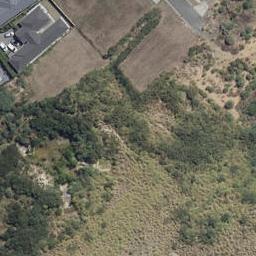 3 Colin Litt Place, Flagstaff, Hamilton