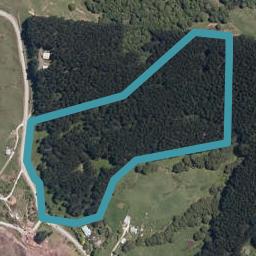 565 Bickerstaffe Road, Maungaturoto