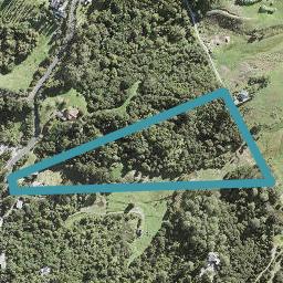 155 Wright Road, Dairy Flat, Albany