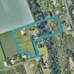31 Edward Avenue, Pyes Pa, Tauranga
