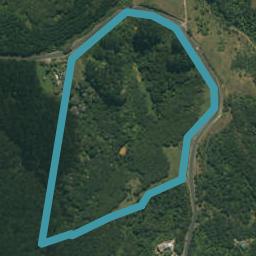 213 West Road, Brookby, Auckland