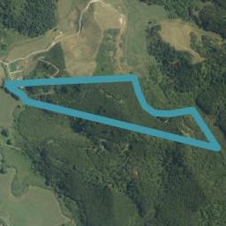279 Te Kauri Road, Hauturu, Oparau