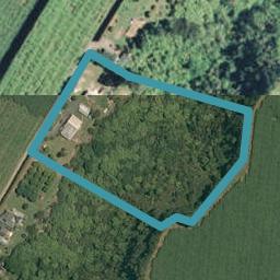 1150 No 3 Road, Te Puke, Te Puke