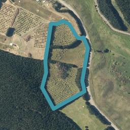 4500 Pouto Road, Te Kopuru