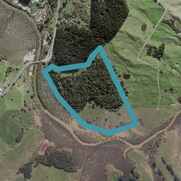 0 Wharehine Road, Port Albert, Wellsford