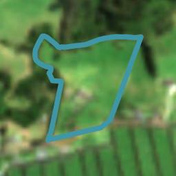 53 Conifer Lane, Kerikeri, Kerikeri