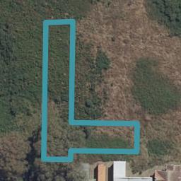 9 Gecko Lane, Hamilton Lake, Hamilton