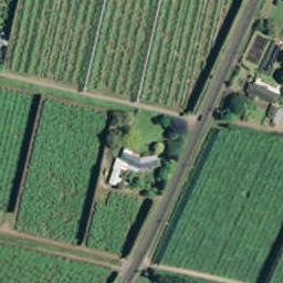 278 Te Matai Road, Te Puke, Te Puke