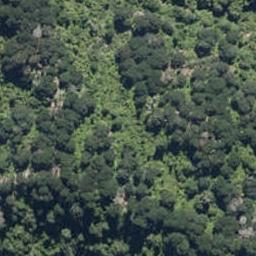 0 Whanganui River Road, Matahiwi