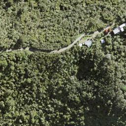 10 Kokako Grove, Te Henga / Bethells Beach