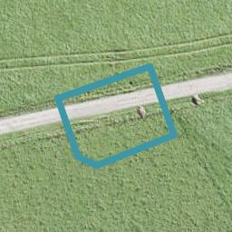 19 Siren Street, Wainui, Wainui