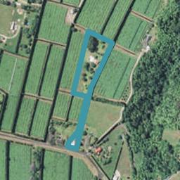 257 Ruahihi Road, Omanawa, Tauranga