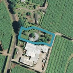 311 No 2 Road, Te Puke, Te Puke