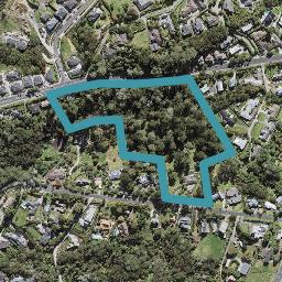 20 Bernard Magnus Lane, Greenhithe, Auckland