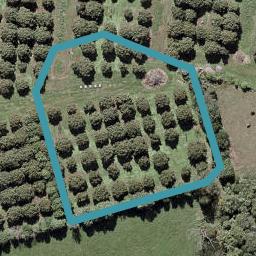 38 Umutekai Road, Hillsborough, New Plymouth