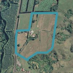 257 Mccarthy Road, WAIOTAHE, OPOTIKI