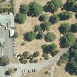 16 O Kupe Place, Witherlea, Blenheim